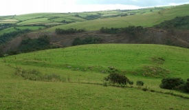 Heale Down