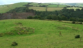 Heale Down