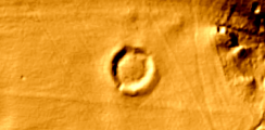 Click for full size image of Gorsey Bigbury Henge (PID:291269) Gorsey Bigbury Henge