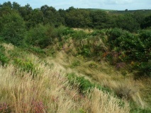 Bury Castle (Exmoor)