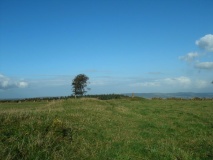 Elworthy Barrows hillfort