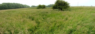 Click for full size image of Gorsey Bigbury Henge (PID:152780) Gorsey Bigbury Henge