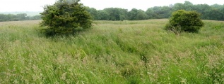 Click for full size image of Gorsey Bigbury Henge (PID:152781) Gorsey Bigbury Henge