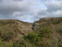 Goughs Cave (Cheddar)