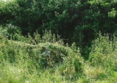Battlegore