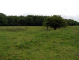 Gorsey Bigbury Henge - PID:61904