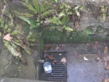 Pople's Well - PID:130971