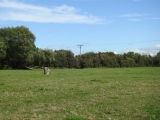 Rolstone - PID:214126