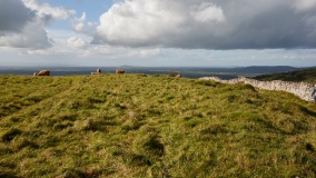 Westbury Camp