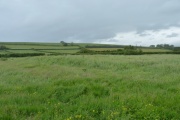 Battlegore