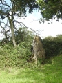 The Wimblestone - PID:214915