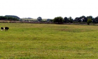 Drove Cottage Henge - PID:60796