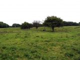 Gorsey Bigbury Henge - PID:61903