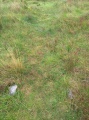 Porlock Common SW - PID:217895