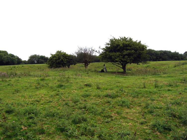 Click for full size image of Gorsey Bigbury Henge (PID:61903) Gorsey Bigbury Henge