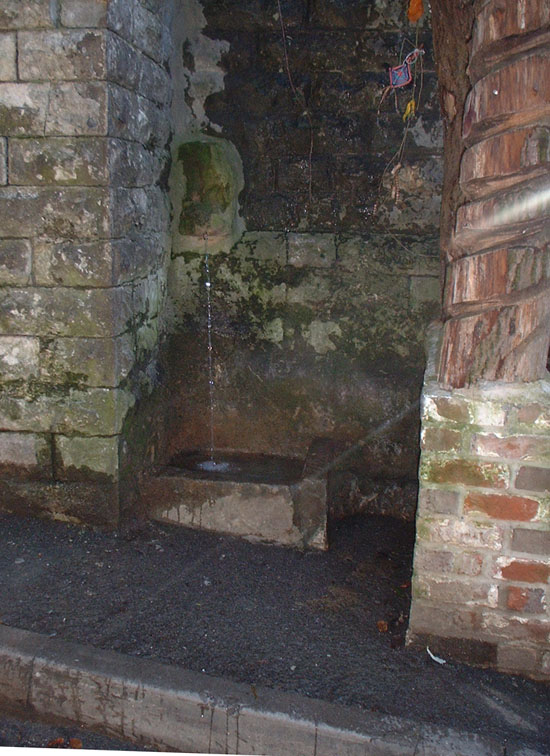 The White Spring once flowed from the foot of the Tor into a tiny, pretty grotto like valley filled with white tufa deposit. It was destroyed and a reservoir building put in its place in the late 19th Century. It is a dark, damp miserable place despite having a cafe in it! The water can be collected free from this outlet in Wellhouse Lane or bought in bottles in town.
ST 508385 