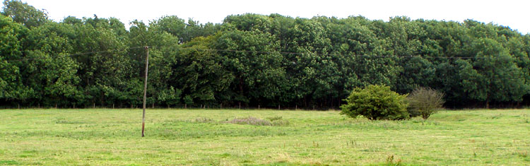 Gorsey Bigbury Henge (PID:61900) Gorsey Bigbury Henge