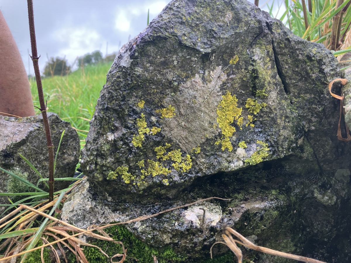 Click for full size image of Pool Farm Cist (PID:276707) Pool Farm Cist