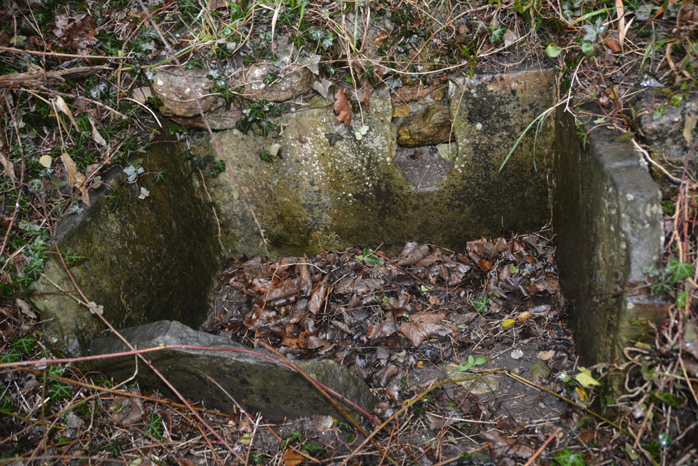 Standing on top of the brambles, looking into the well trough towards the bottom of the slope.  It did look rather like a modern day cist, although the hole where the water pipe came in rather gave its true function away.