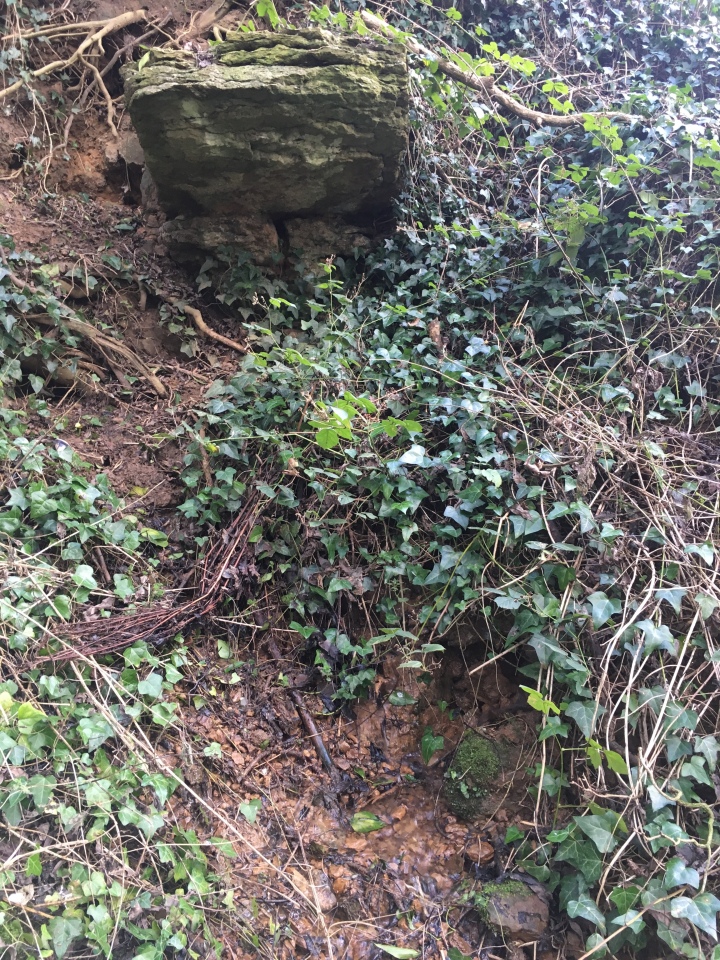 St. Helen's Well (Hemswell)