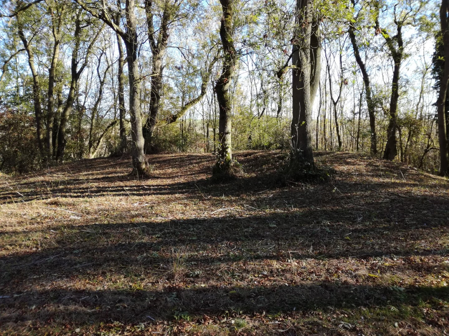 Ash Holt Long Barrow