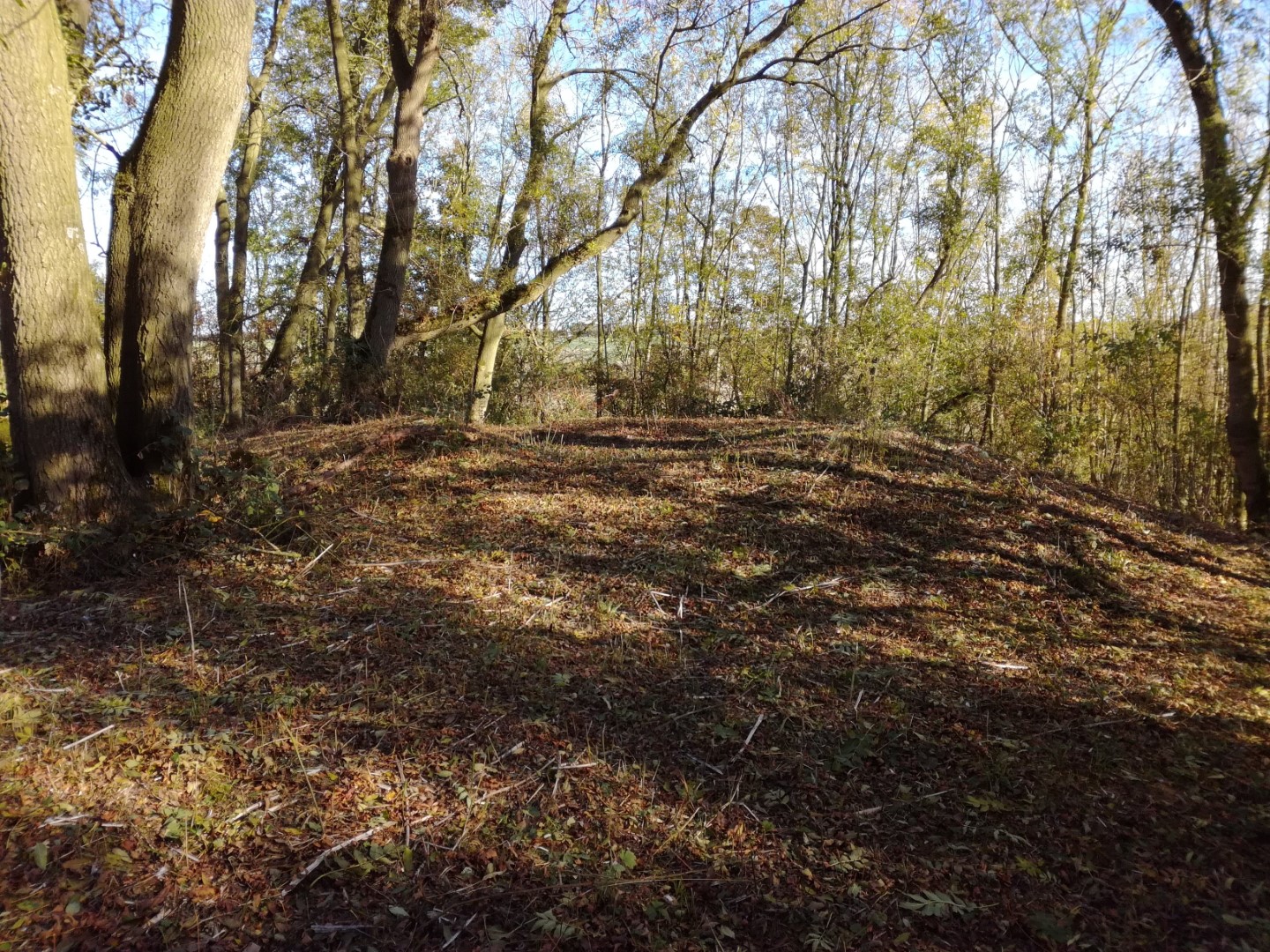 Click for the gallery page to add comments and vote (PID:187529) Ash Holt Long Barrow