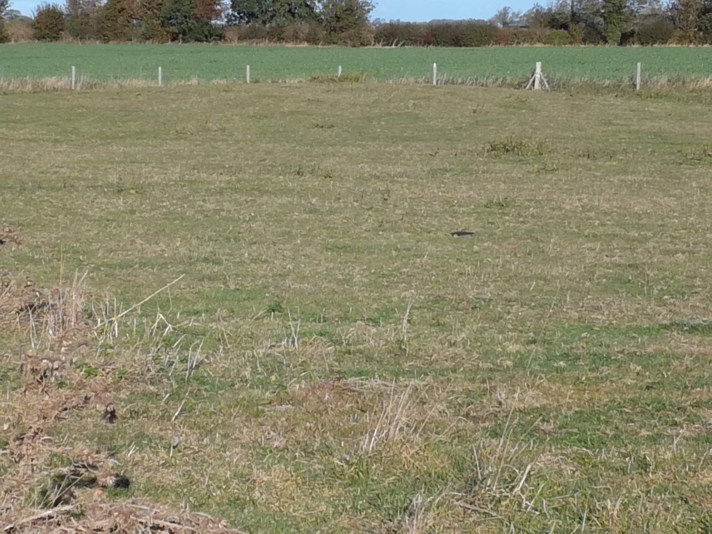 Butterbumps Barrow Cemetery