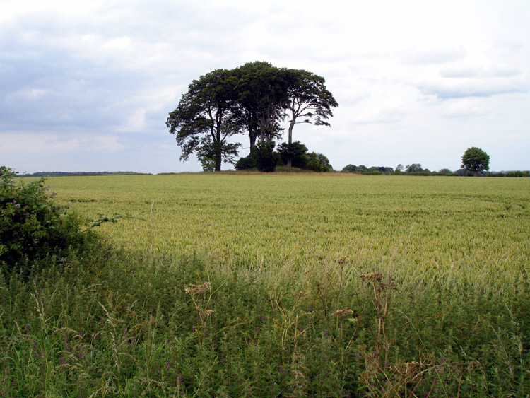 Click for the gallery page to add comments and vote (PID:22089) Burgh on Bain