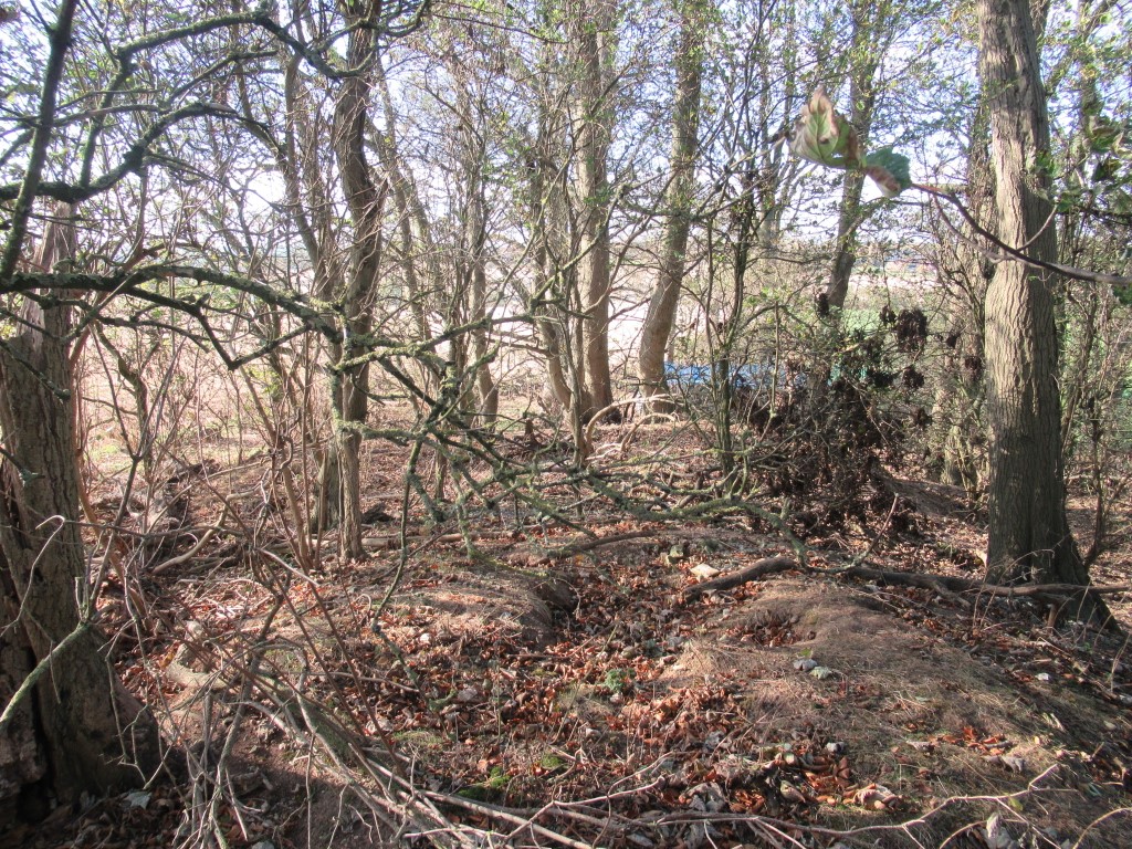 Hoe Hill Long Barrow