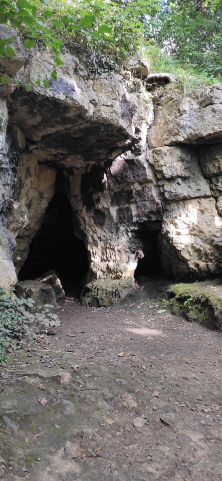 Dead Man's Cave/Anston Stones Wood
