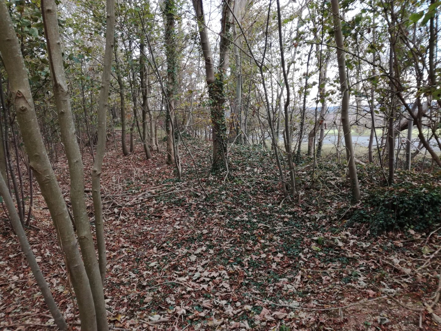 Beacon Plantation Long Barrow