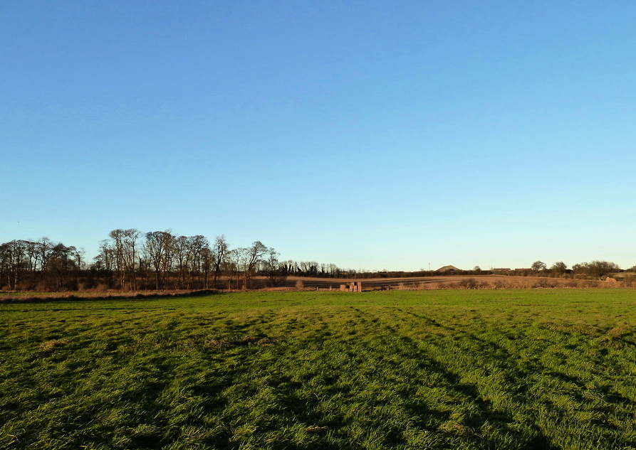 Click for the gallery page to add comments and vote (PID:176075) Lincoln Greetwell Henge/disc barrow