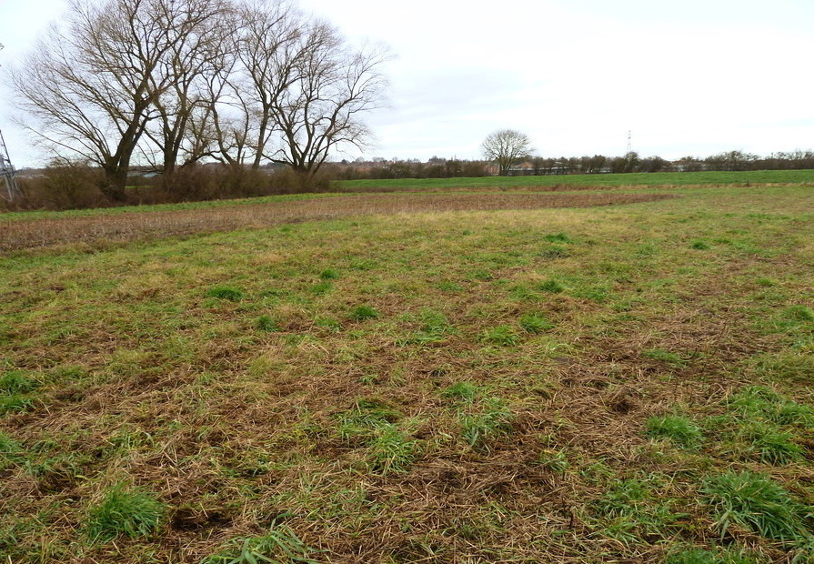 Click for the gallery page to add comments and vote (PID:176078) Lincoln Greetwell Henge/disc barrow