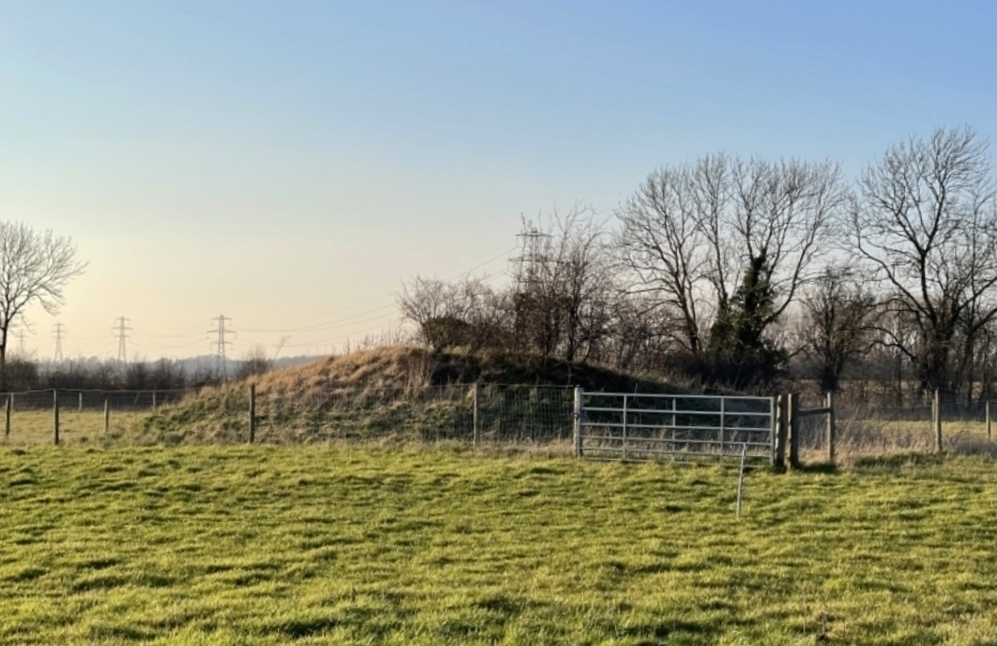 Riseholme Barrow
