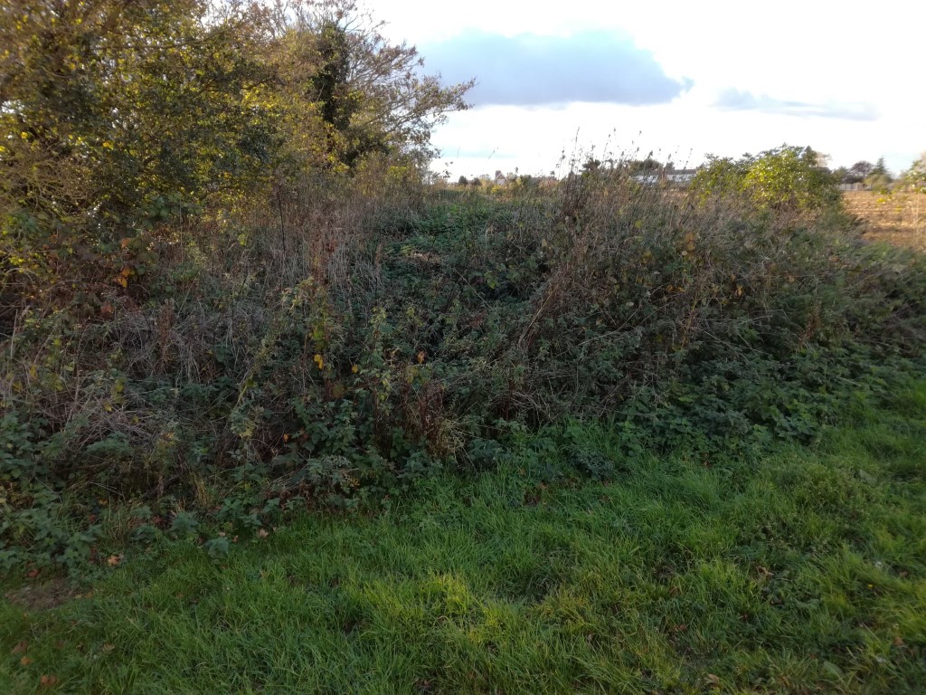 Click for the gallery page to add comments and vote (PID:187628) Butt Mound