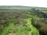 Ciceley Low II - PID:111089
