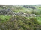 Fingerem Stone - PID:111086