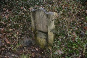 Little John's Well (Hampole) - PID:176889