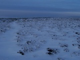 Ciceley Low II - PID:111090