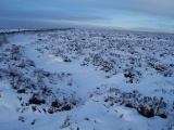 Ciceley Low II - PID:111088