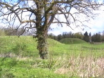 Revesby Barrows