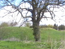 Revesby Barrows
