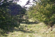 Honington Camp - PID:95207