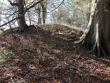 Hoe Hill Long Barrow - PID:187532