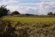 Honington Camp - PID:95208