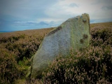 New Hagg (Hallam Moors) - PID:264342