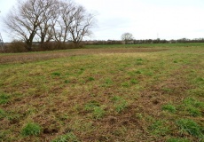 Lincoln Greetwell Henge/disc barrow