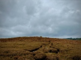 New Hagg (Hallam Moors) - PID:264345