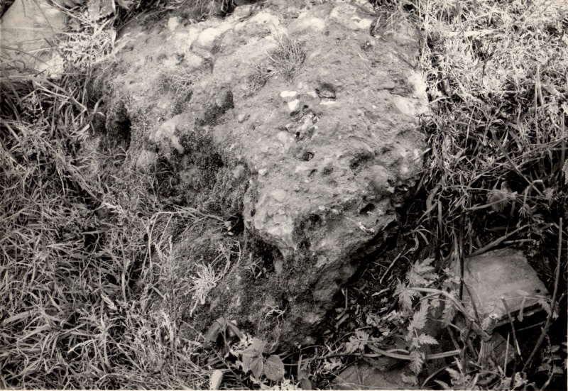 Click for the gallery page to add comments and vote (PID:158351) Drakestone Green Puddingstone