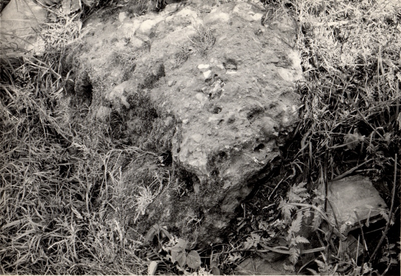 Drakestone Green Puddingstone